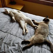Rick Woolverton's photo