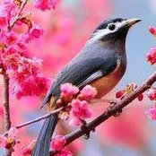 Dorothy J Boucher's photo