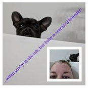 Foto von Cathy Schillage