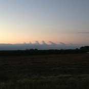 Barbara Martin's photo