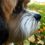 Jodi Wygant's photo