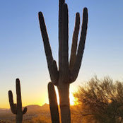 Ruth Liu's photo