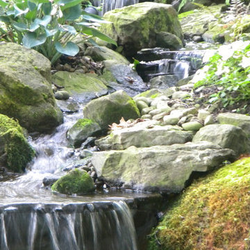 Waterfall and Stream