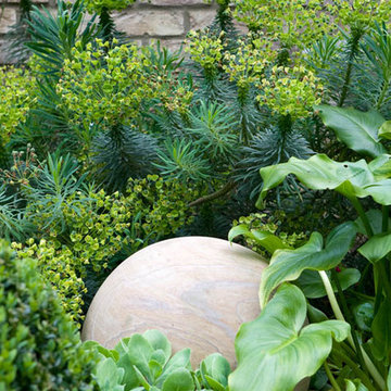 Japanese Garden - Holloway London