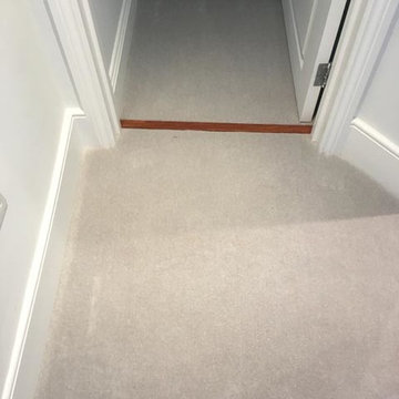 Light Carpet Installed to Stairs