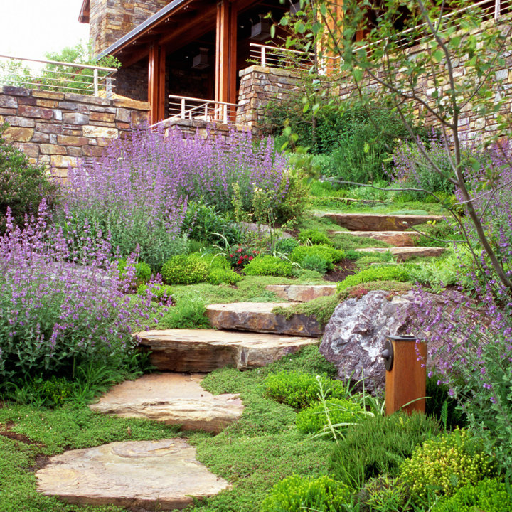 75 Hillside Landscaping - February, 2026