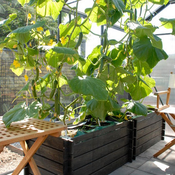 Fra flisegård til gårdhave