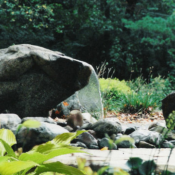 Ponds & Water features