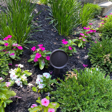 Outdoor Living Spaces