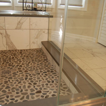 Vernon Hills Master Bathroom