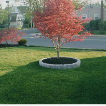Front Yard landscaping with Belgium Block tree rings