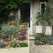 Front garden