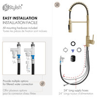 STYLISH Milano Pull-Down Kitchen Faucet with water filter, Stainless Steel., Brushed Gold