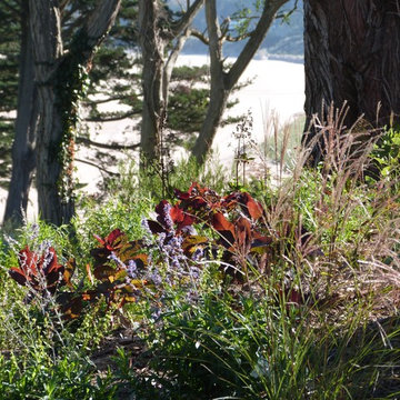 Jardin de Bord de Mer 2