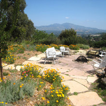 Gardening