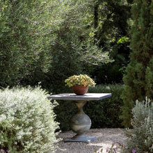 219 plum landscape