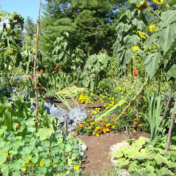 Lycopene Labyrinth