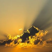 Kevin Collins's photo