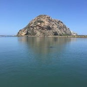 Haylee Bautista's photo