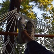 Foto von Lisa Connally