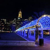 Nick Zoppi's photo