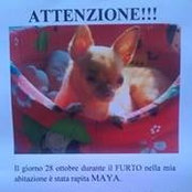 Foto von Simona Longoni