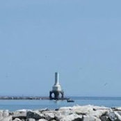 Kim Dimmett's photo
