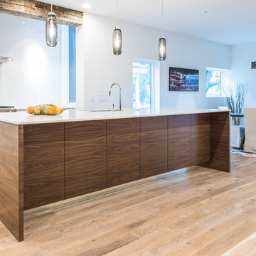 Erie Avenue Contemporary by Don Justice Cabinet Makers