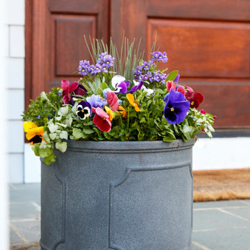 Early Spring Containers