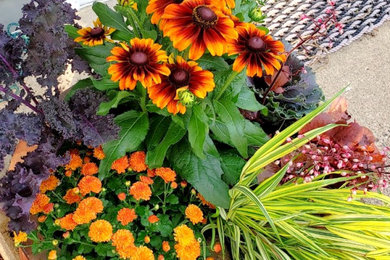 Fall Container Gardens