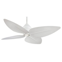 Beach Style Ceiling Fans by Lighting and Locks
