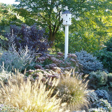 Flanders garden