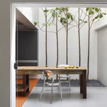 Indoor greenery