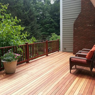 Magnificent Mahogany