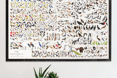 Birds of North America Print