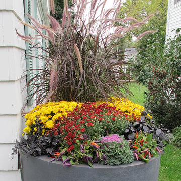 Planter & Container Garden Design - Fairfield County, CT