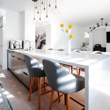 Two-Toned Contemporary Kitchen Renovation