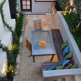 Kleiner Moderner Patio im Innenhof mit Pflanzwand in Sydney