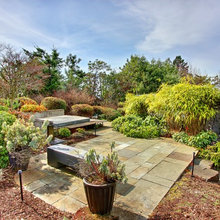 Landscape Ideas