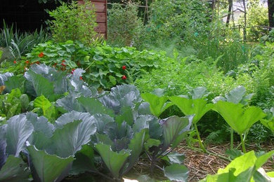 This is an example of a rustic landscaping in Boston.