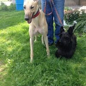 Pet Watson's photo