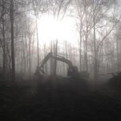 Matt Steffen's photo