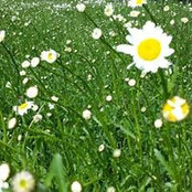 Anne Hoitink's photo
