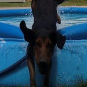 Lynn Templeton's photo