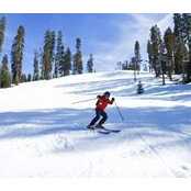 Paul Gonzalez's photo