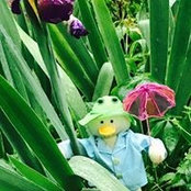 Kim Fintel Worthington's photo