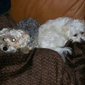 Ken Holmes's photo