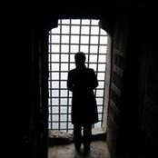 Alexis Litvine's photo