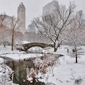 Michele Pitzer's photo