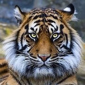 Amy Mead's photo